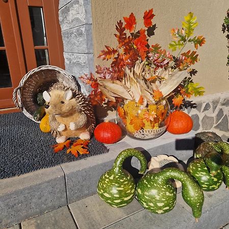 Sepsi Relax Hotel Sfantu Gheorghe  Luaran gambar