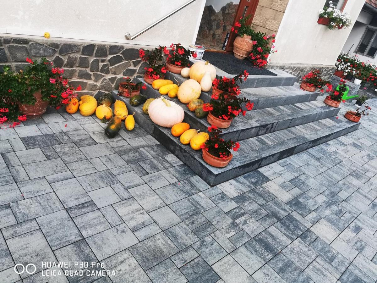 Sepsi Relax Hotel Sfantu Gheorghe  Luaran gambar