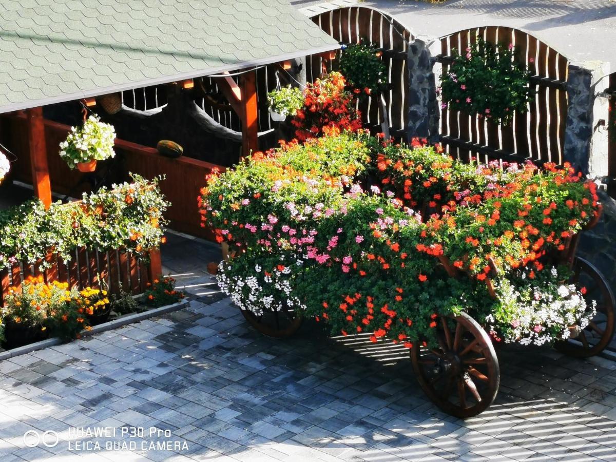 Sepsi Relax Hotel Sfantu Gheorghe  Luaran gambar