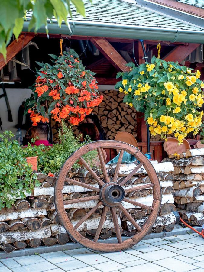 Sepsi Relax Hotel Sfantu Gheorghe  Luaran gambar