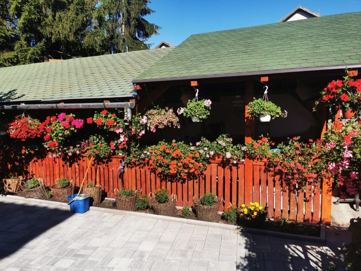 Sepsi Relax Hotel Sfantu Gheorghe  Luaran gambar