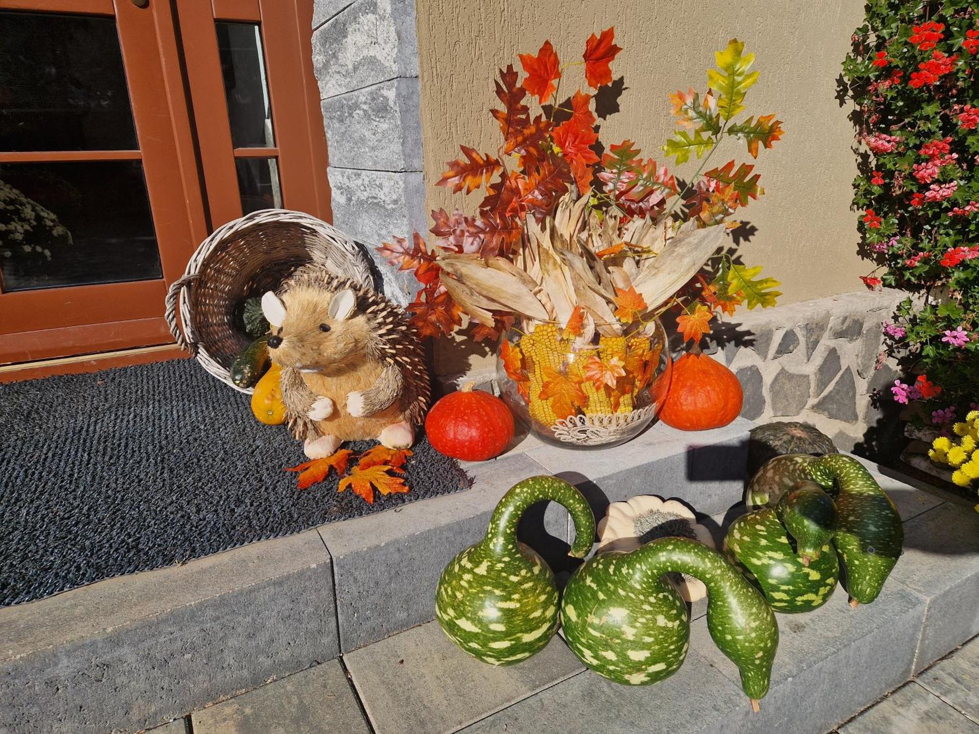 Sepsi Relax Hotel Sfantu Gheorghe  Luaran gambar